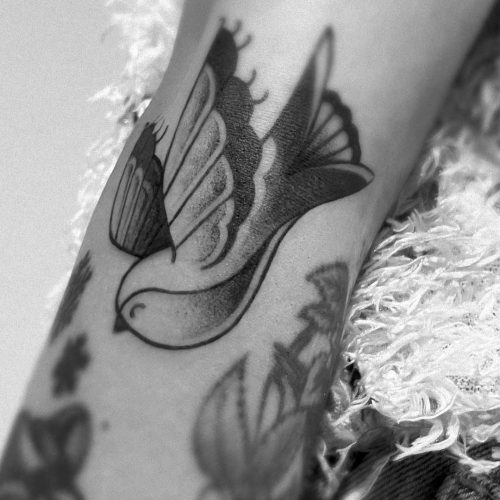 Oceane-Hirondelle-Neotrad